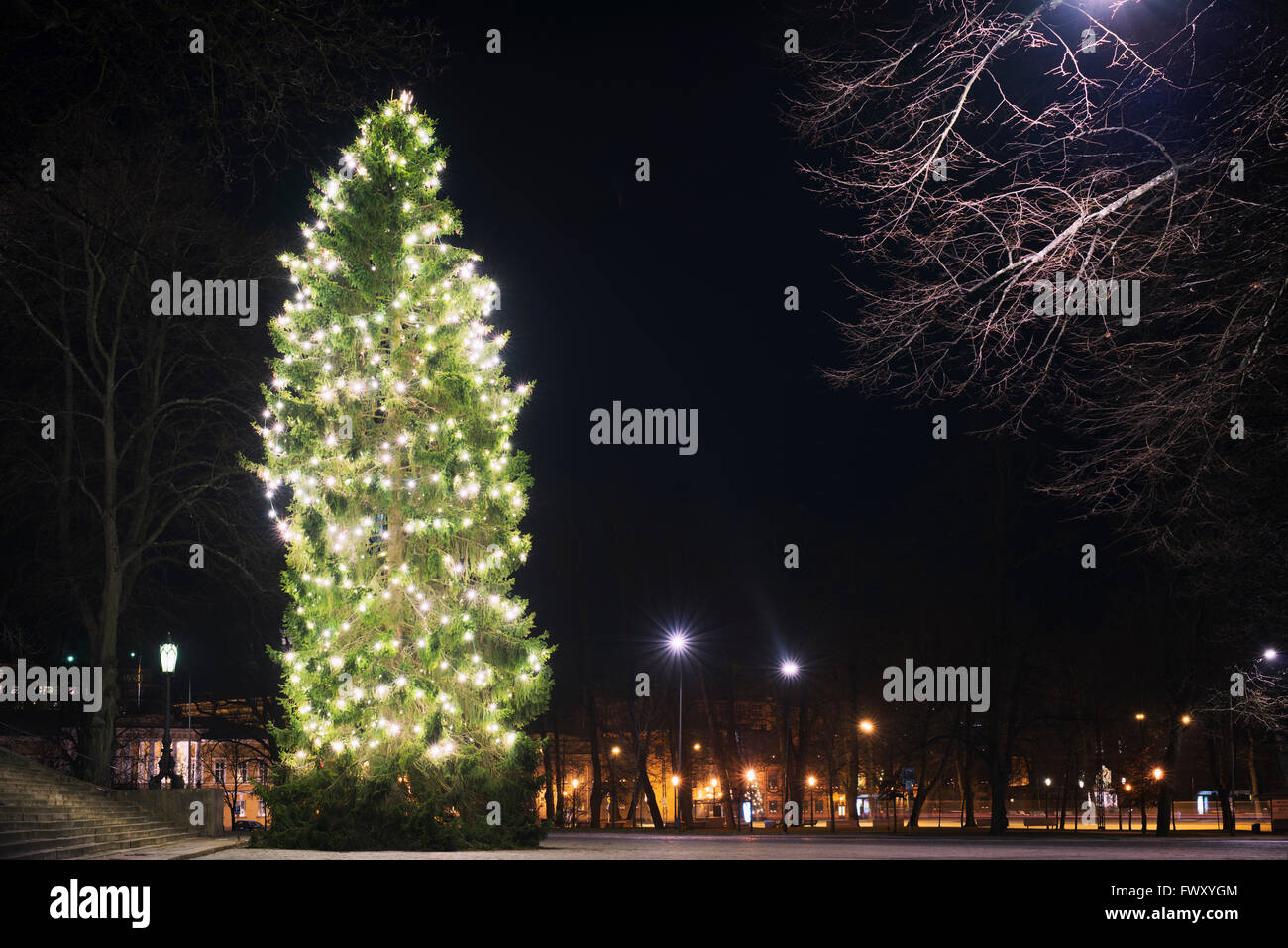 Finland, Varsinais-Suomi, Turku, Illuminated Christmas tree at night Stock Photo