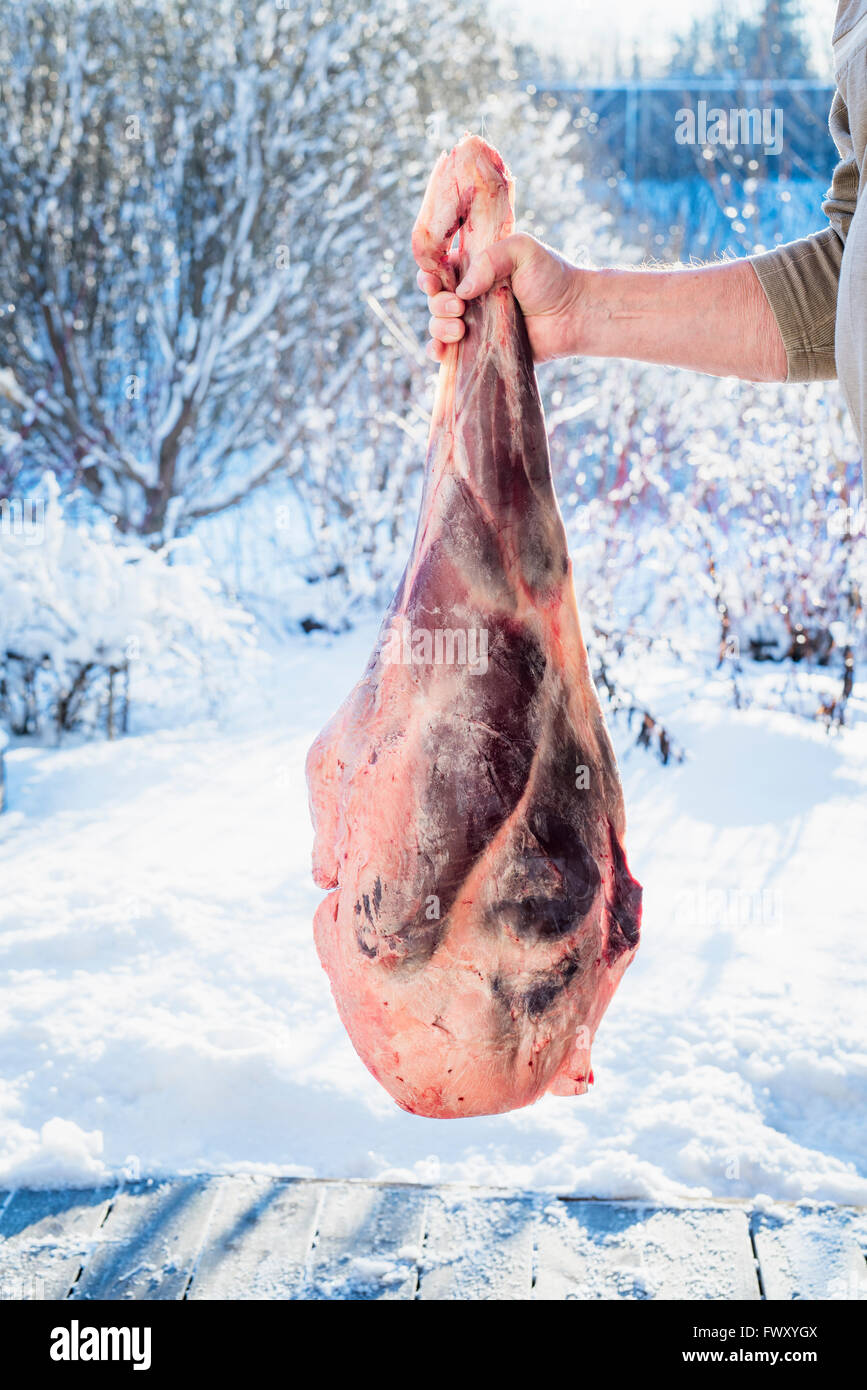 Finland, Pirkanmaa, Butcher holding raw venison meat Stock Photo