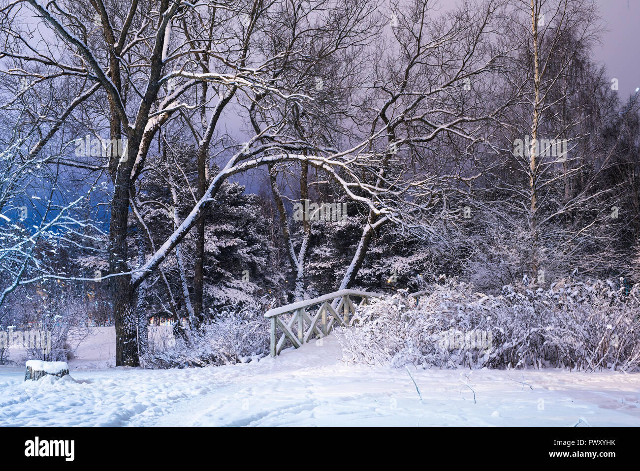 Finland, Pirkanmaa, Tampere, Winter scene with trees and footbridge covered with snow Stock Photo