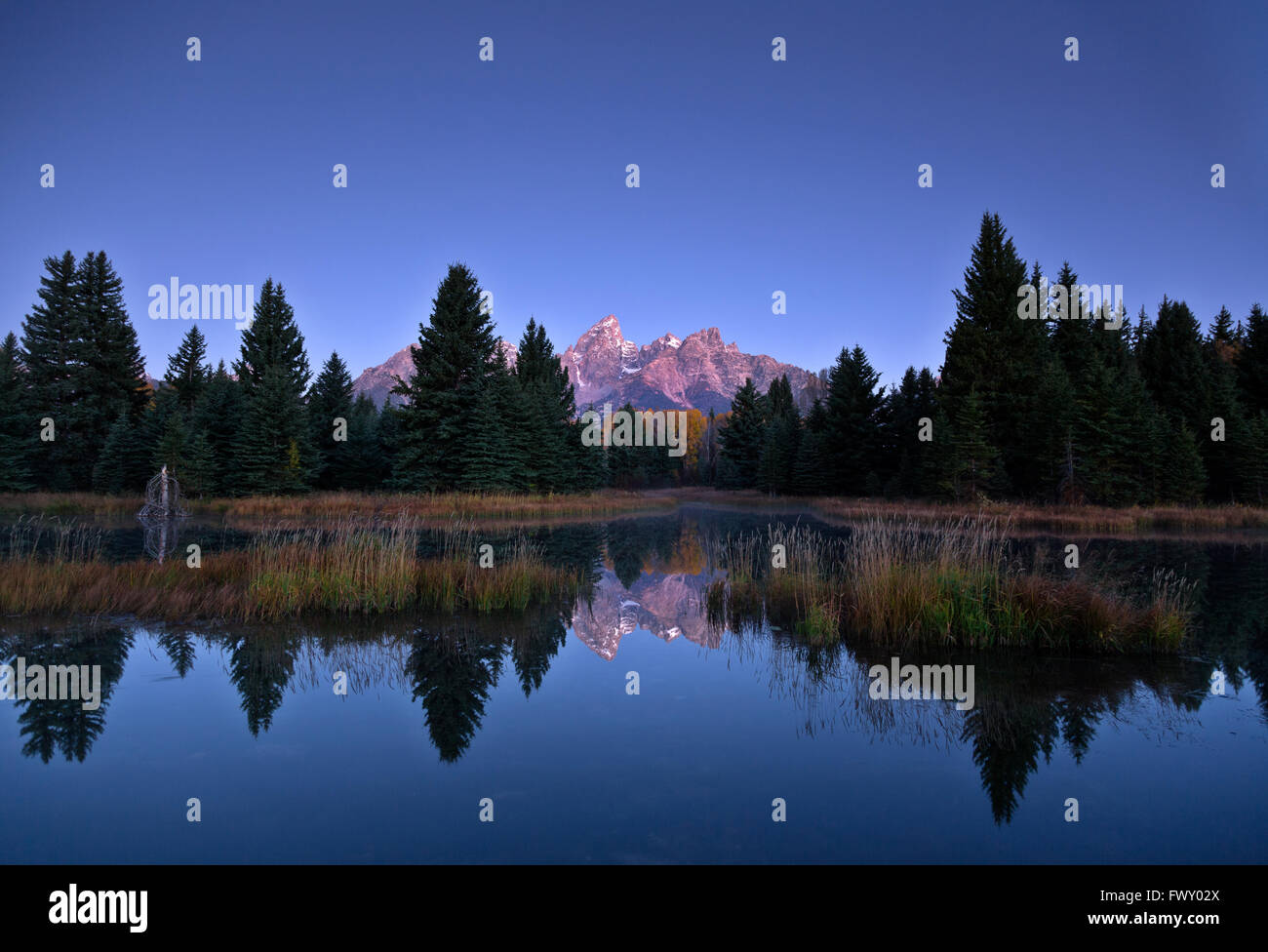 WY01478-00...WYOMING - Dawn at Schwabacher Landing on the Snake River in Grand Teton National Park. Stock Photo