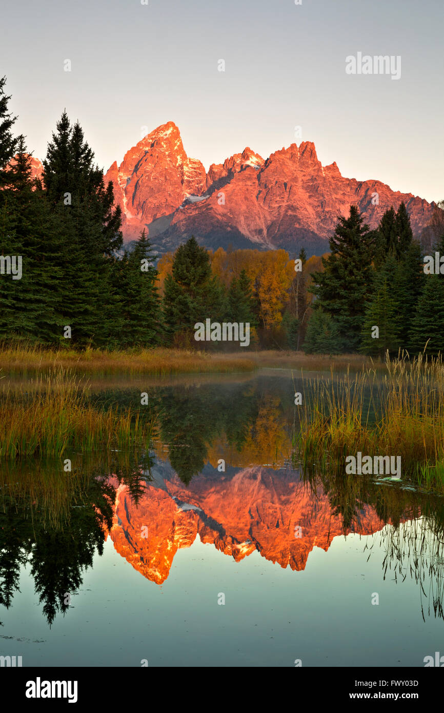 WYOMING - Sunrise on The Grand Teton from beaver pond area of Schwabacher Landing on Snake River in Grand Teton National Park. Stock Photo