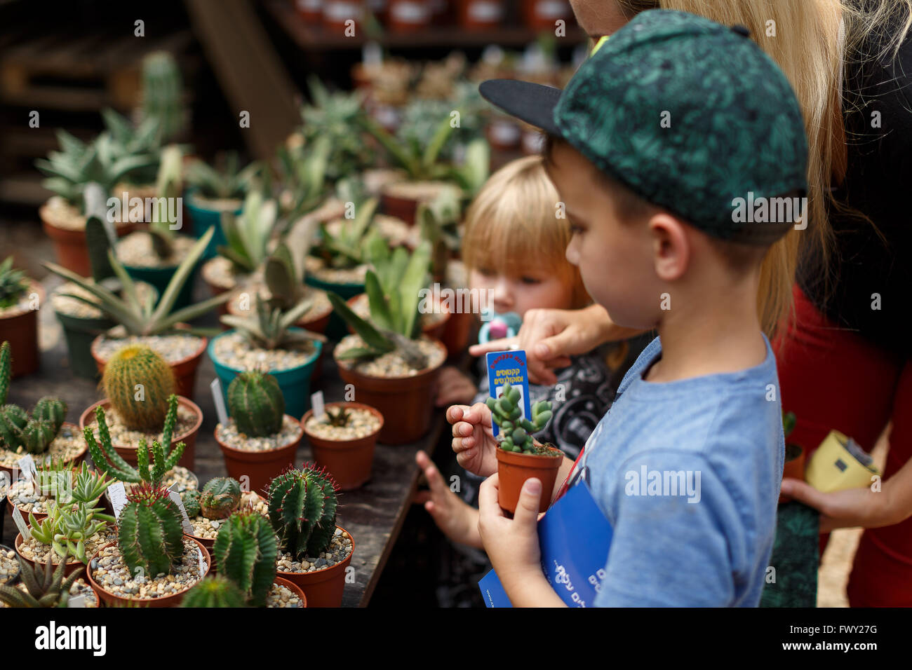children buy cacti Stock Photo