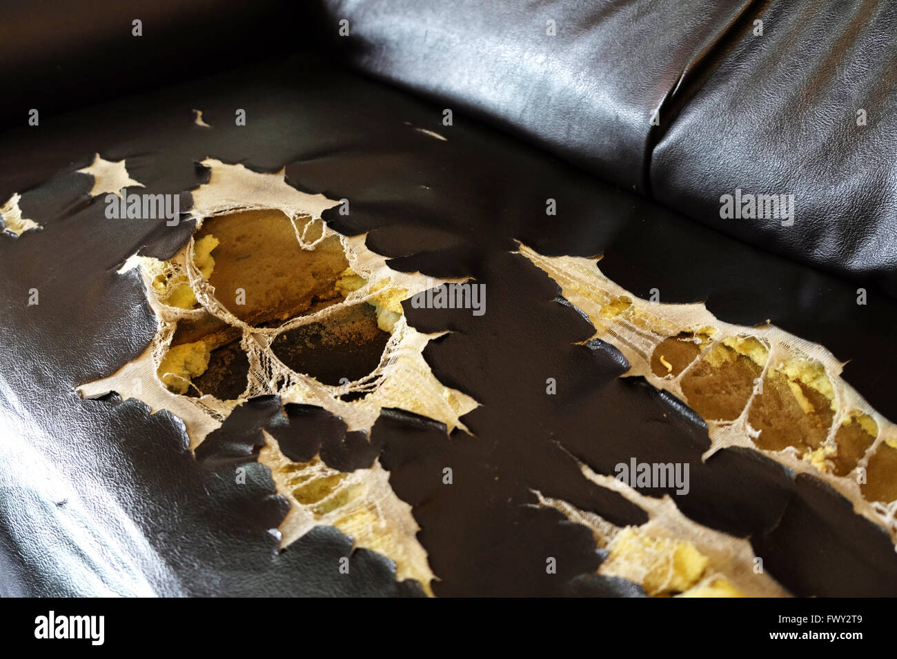 broken sofa Stock Photo Alamy