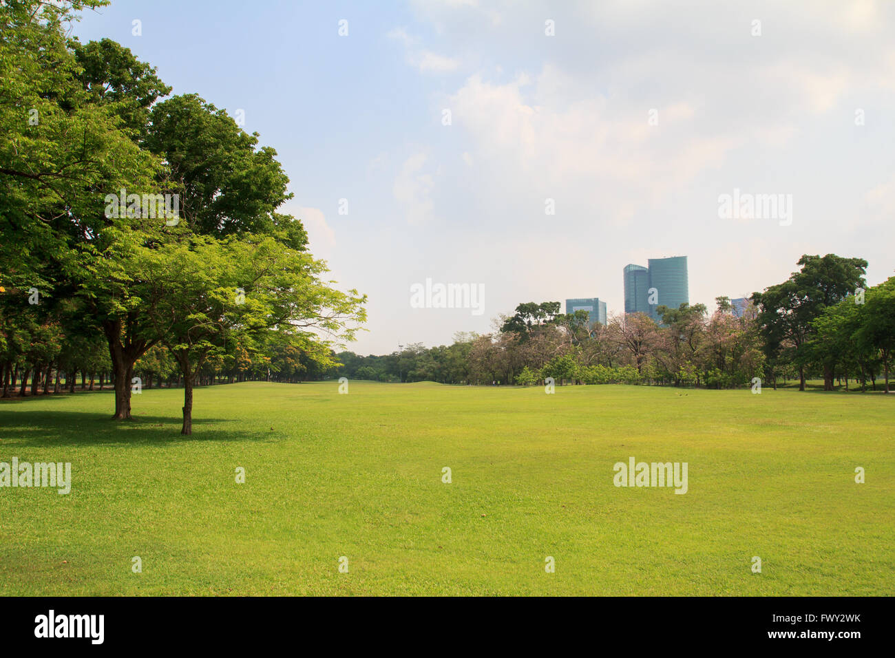 City park under blue sky with building background Stock Photo - Alamy