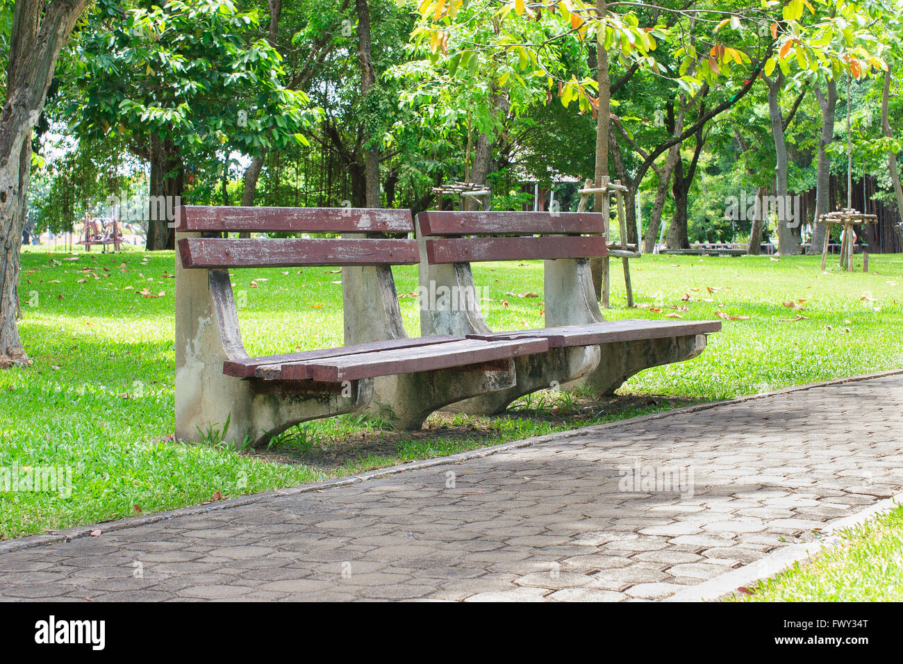 Bench under the tree in the park Stock Photo Alamy