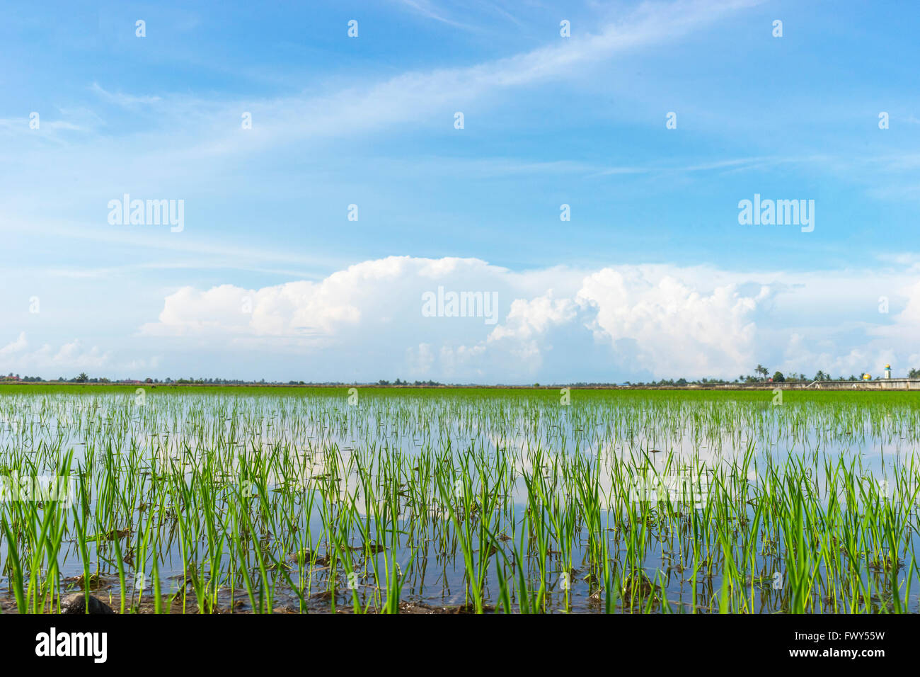 Detailed composition hi-res stock photography and images - Alamy