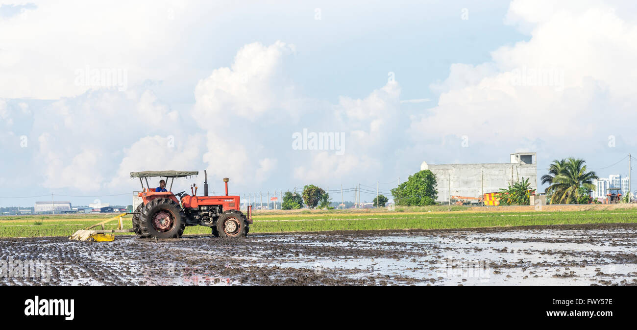 Planting Tilling Rice SELANGOR, MALAYSIA - JANUARY 31, 2016: Worker uses a machine to tilling ...