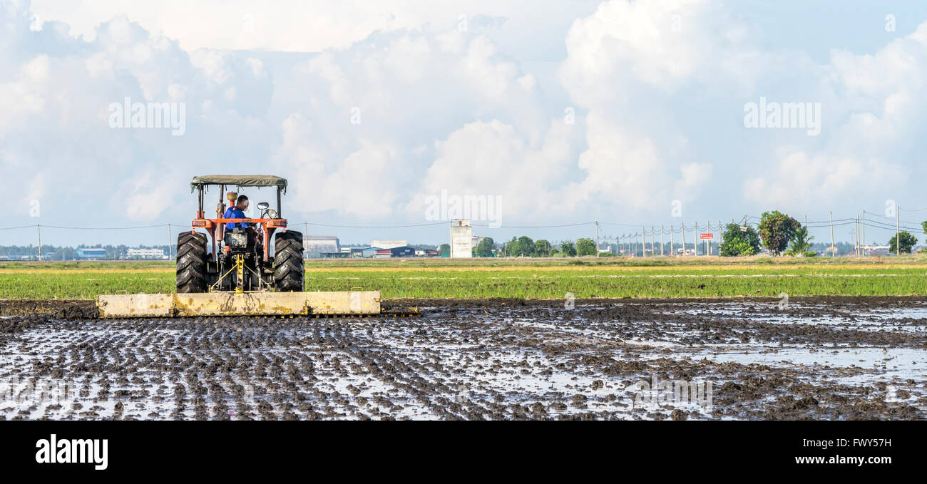 Planting Tilling Rice Herbicide tanks hi-res stock photography and images - Alamy
