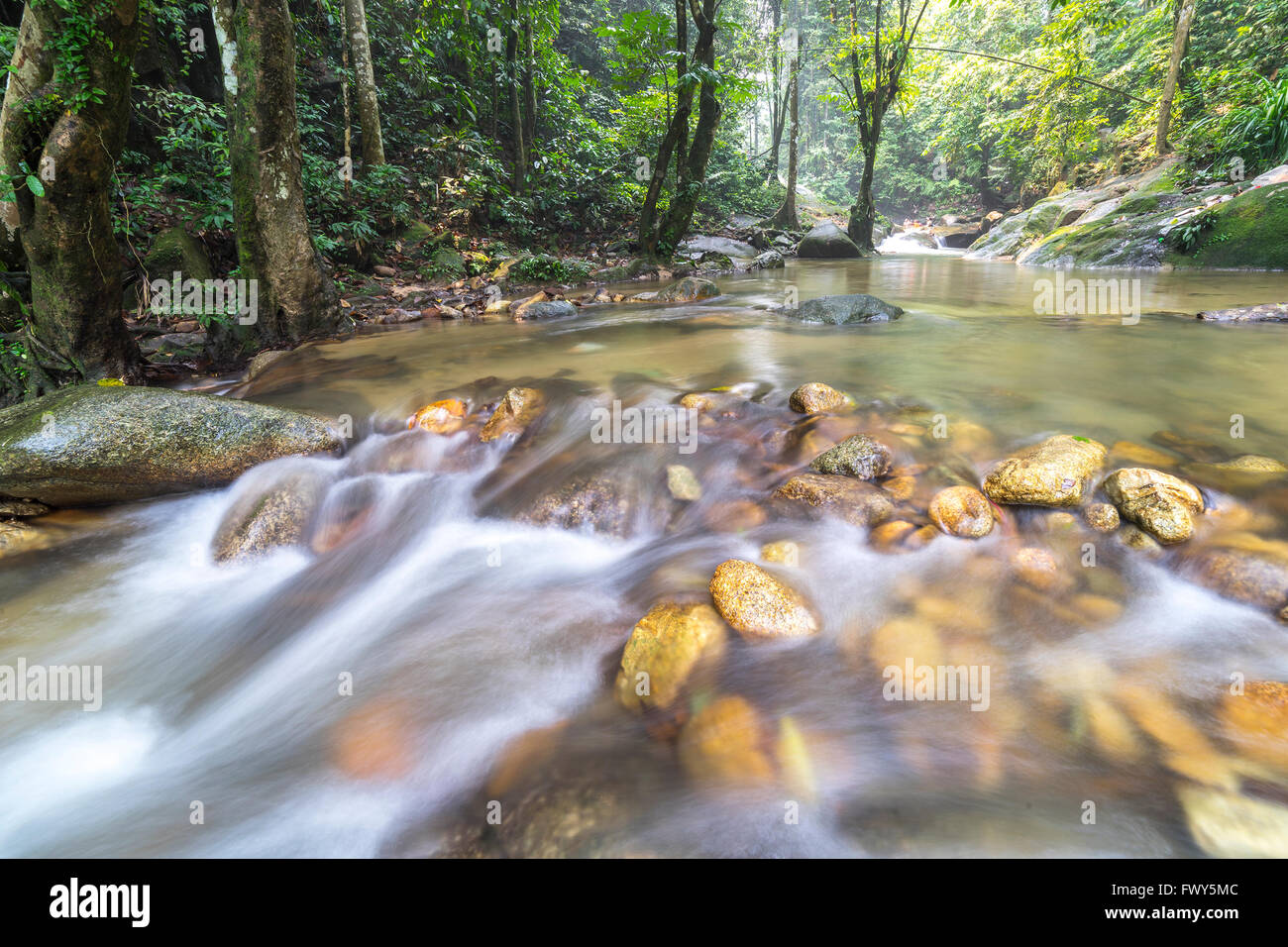 Natural flow of water stream at tropical forest Stock Photo - Alamy