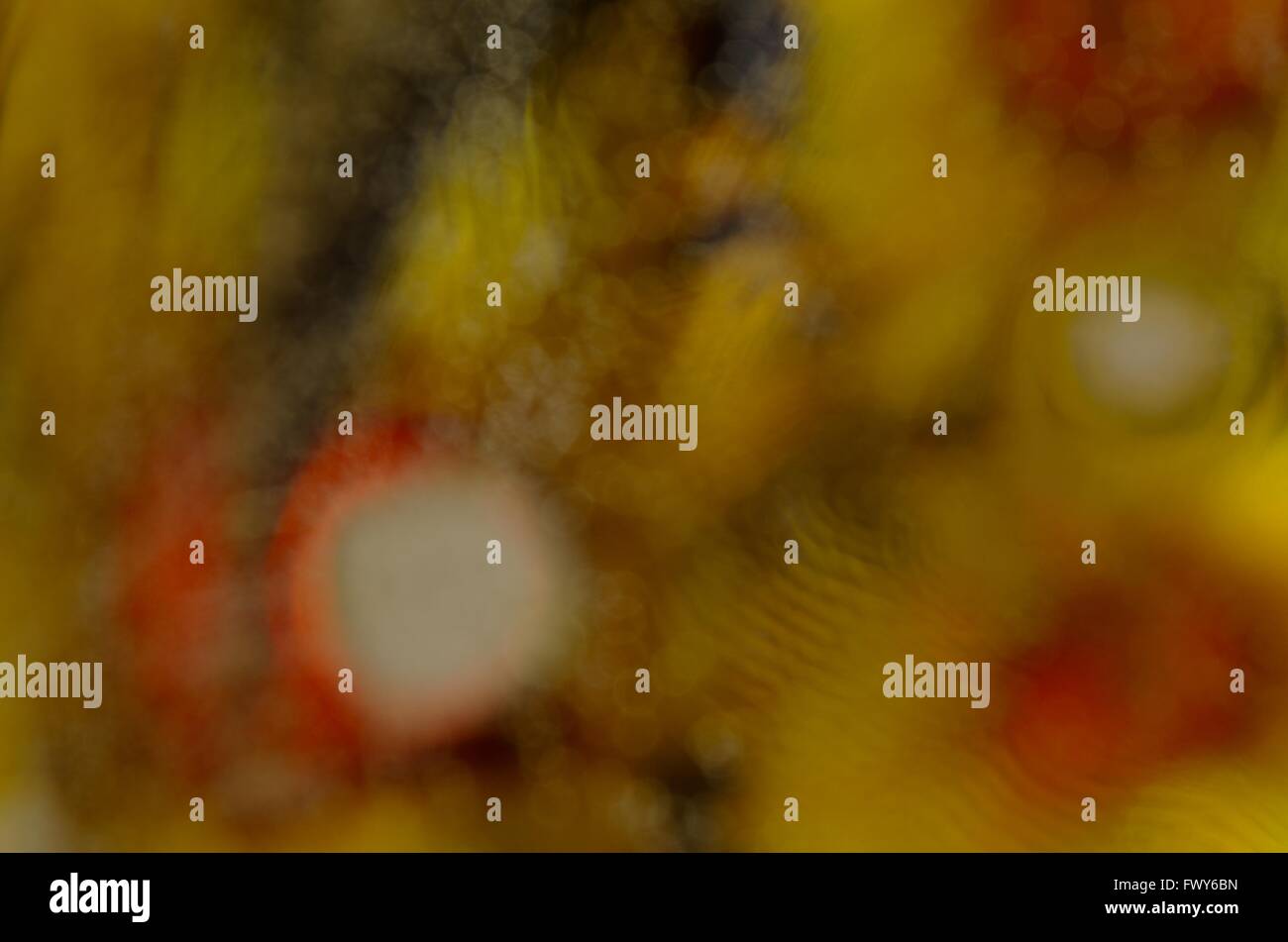 Nice colorful background with oil and water Stock Photo - Alamy