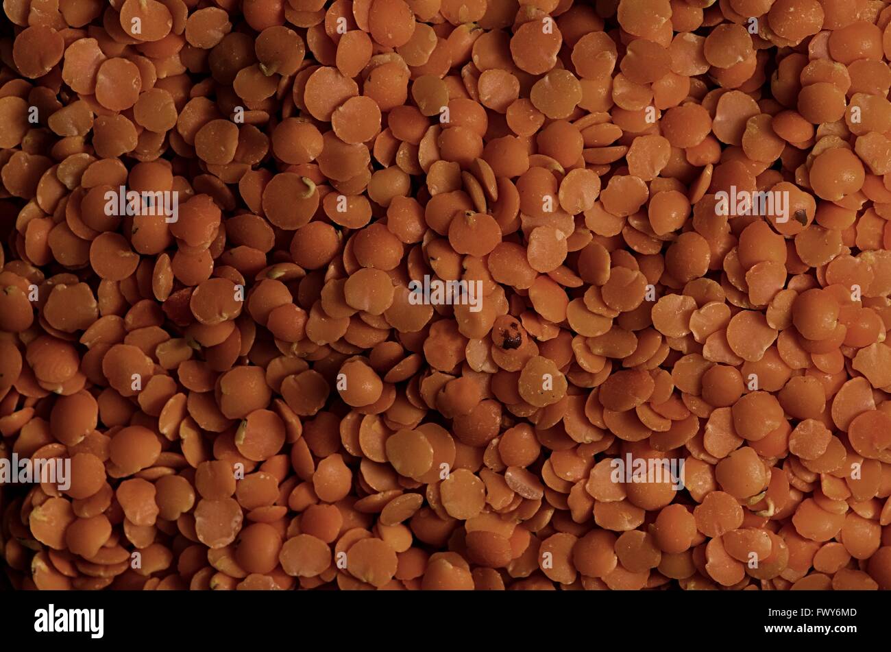 Orange lentils in side light, pattern background Stock Photo