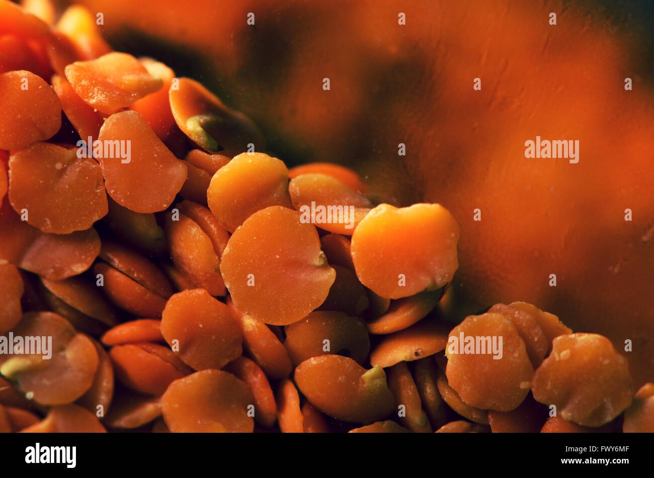 Orange lentils in back light, pattern background Stock Photo