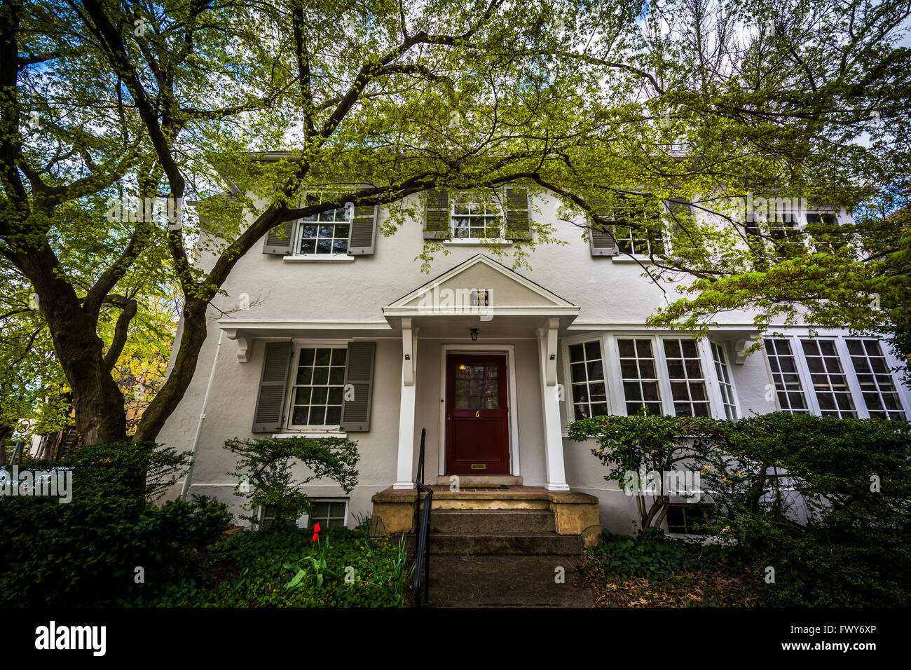 House and trees in Tuscany Canterbury, Baltimore, Maryland Stock