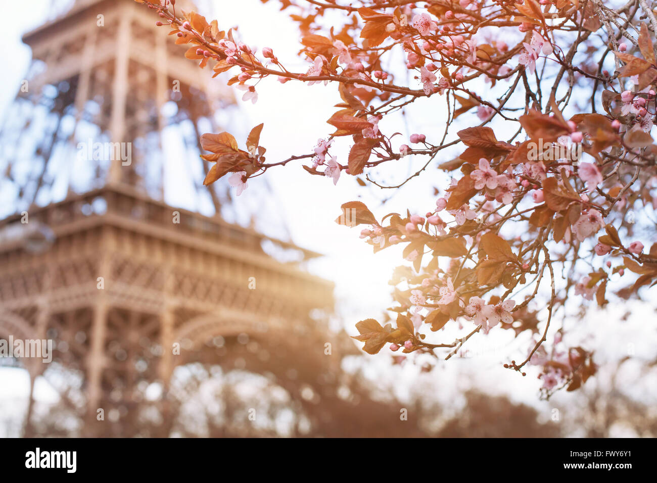 spring in Paris Stock Photo