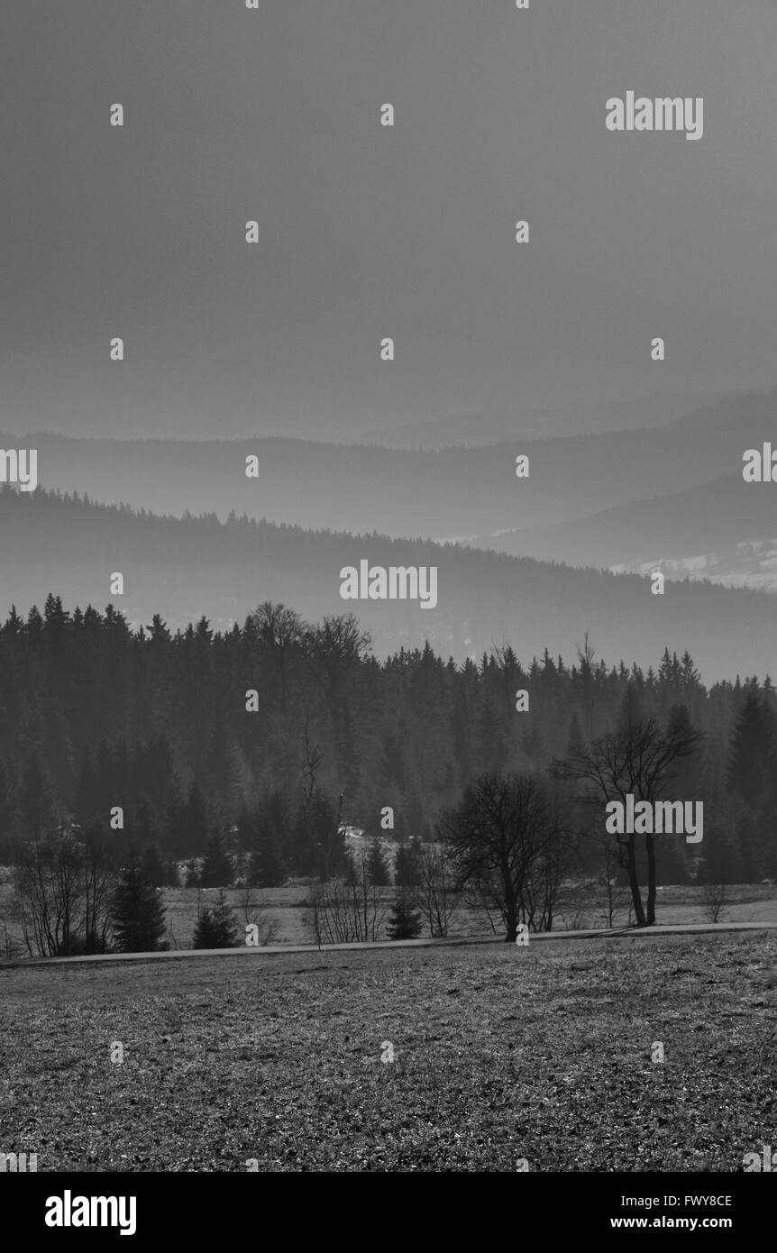Black and white landscape of hills, mountains and valley in the fog Stock Photo