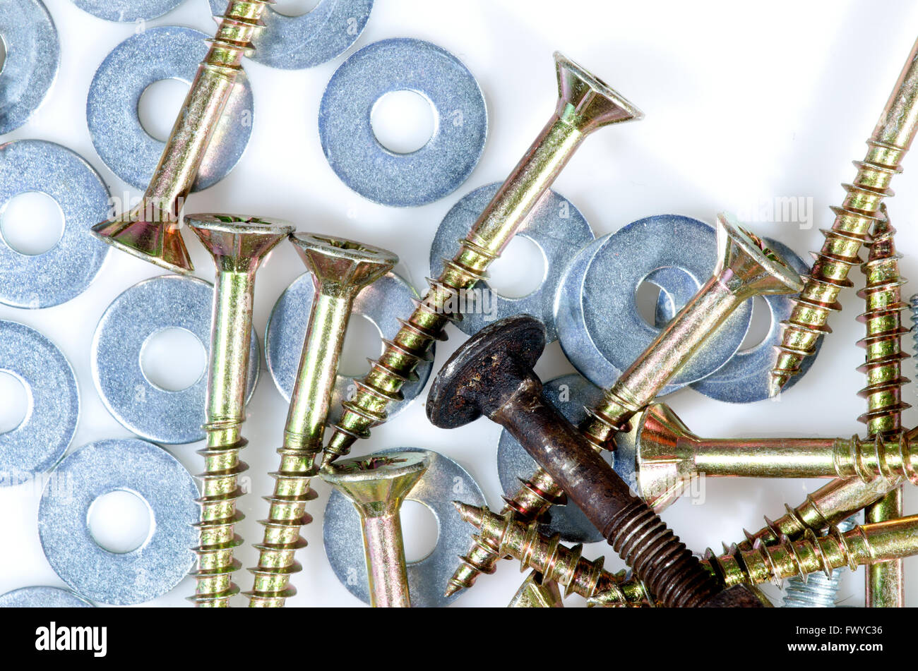 Mix of screws and washers isolated on white background Stock Photo Alamy