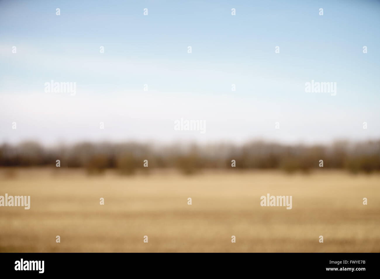 blurred background of rural field in early spring with forest behind Stock Photo