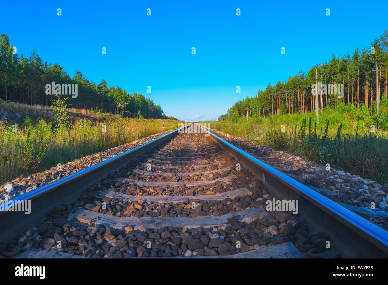 View of railroad track in summer evening Stock Photo