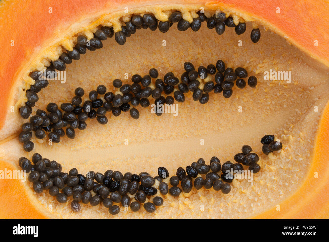 Sliced papaya fruit (Carica papaya) with seeds, Fuerteventura, Canary Islands, Spain Stock Photo