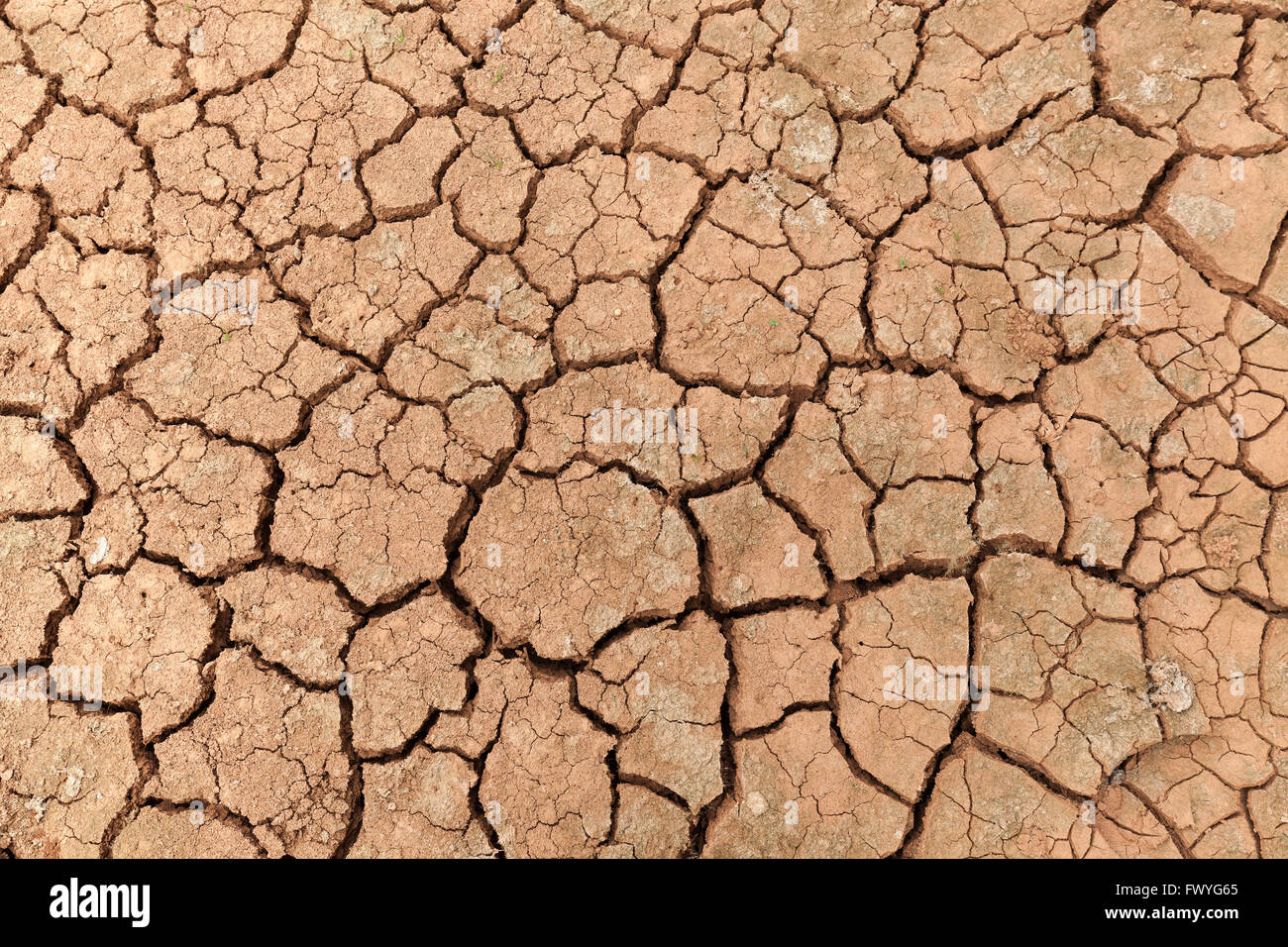 Dried earth, dry cracks in the ground, dried clay surface, Fuerteventura, Canary Islands, Spain Stock Photo
