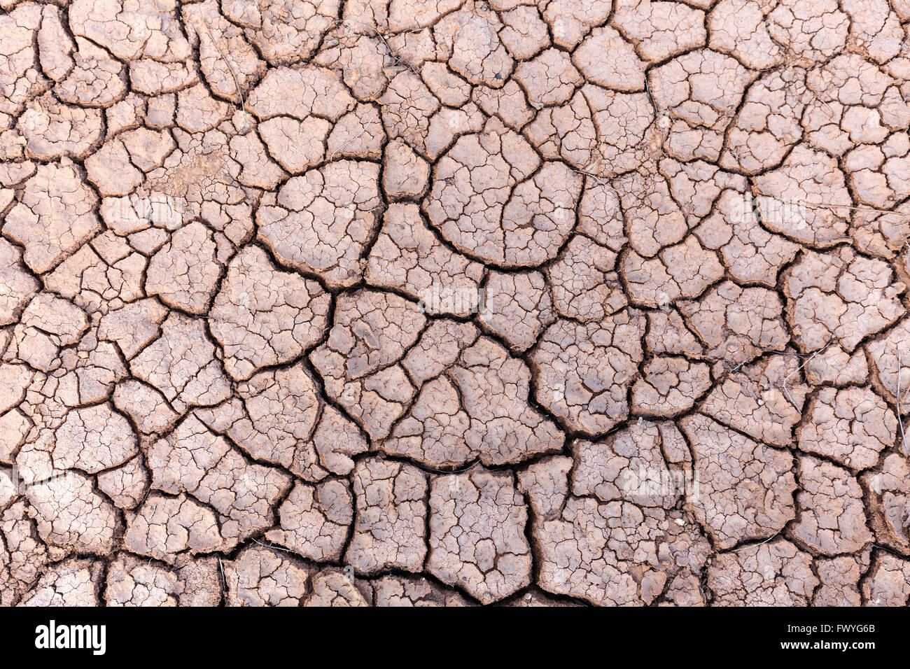 Dried earth, dry cracks in the ground, dried clay surface, Fuerteventura, Canary Islands, Spain Stock Photo