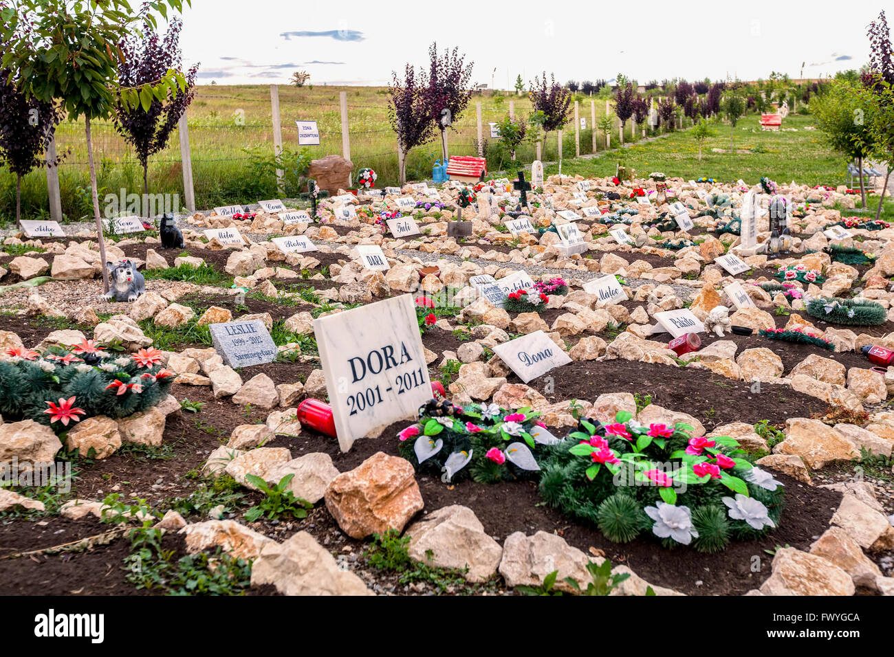 Hunedoara, Romania - 21 June 2014: View Of An Cemetery Pet In Hunedoara City, Transylvania, Romania Stock Photo