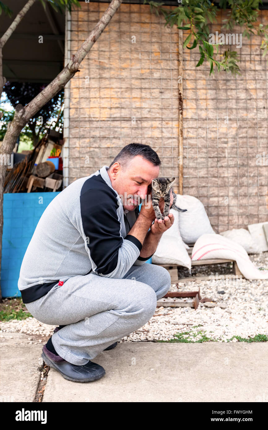 Hunedoara, Romania - 21 June 2014: Dark Haired Man With Mustache With Toady Grey Kitten In Hunedoara On June 21, 2014 Stock Photo