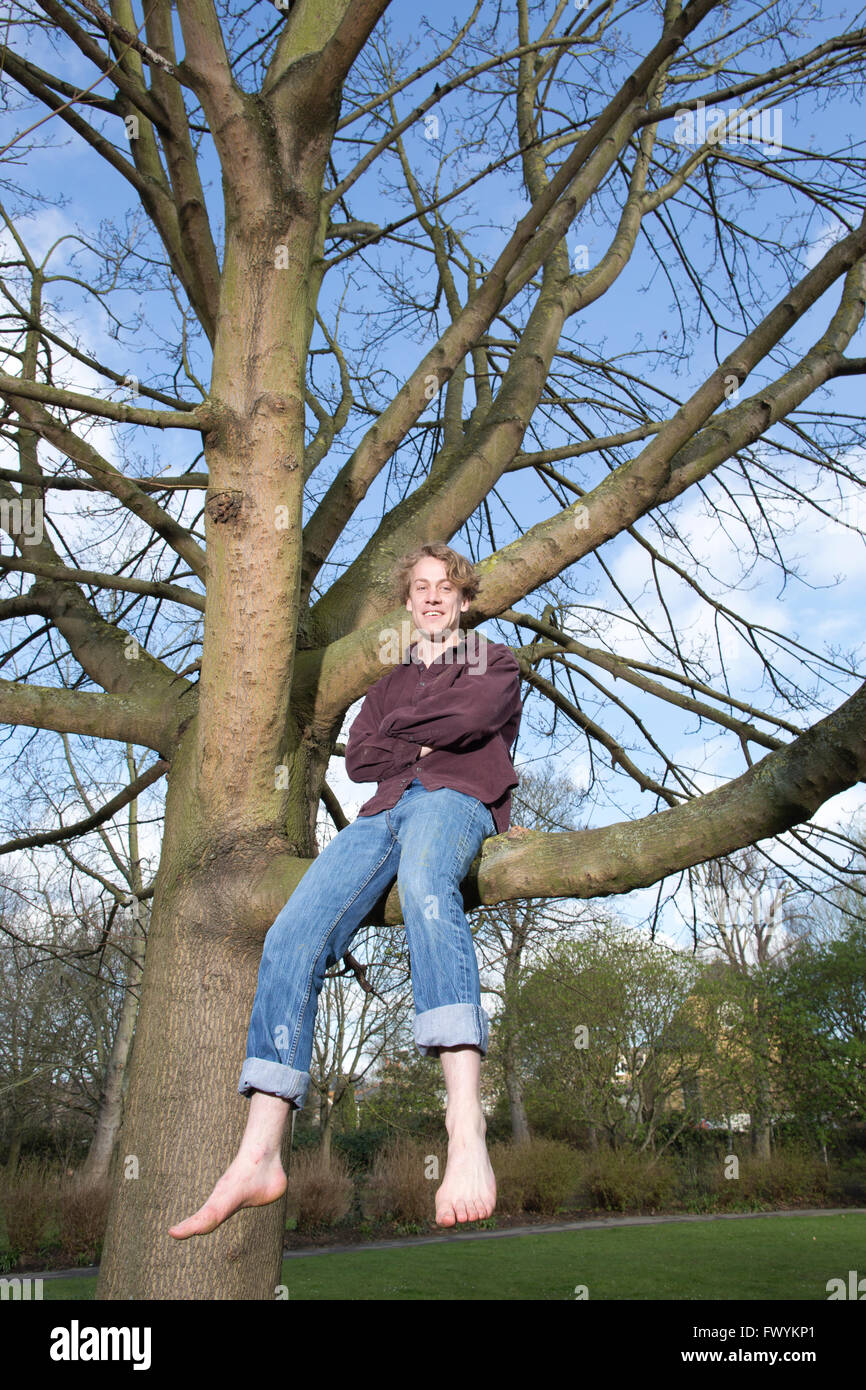 Jack Cooke, author of 'The Tree Climber's Guide', up in a tree in Ravenscourt Park, near Hammersmith, London, England, UK Stock Photo