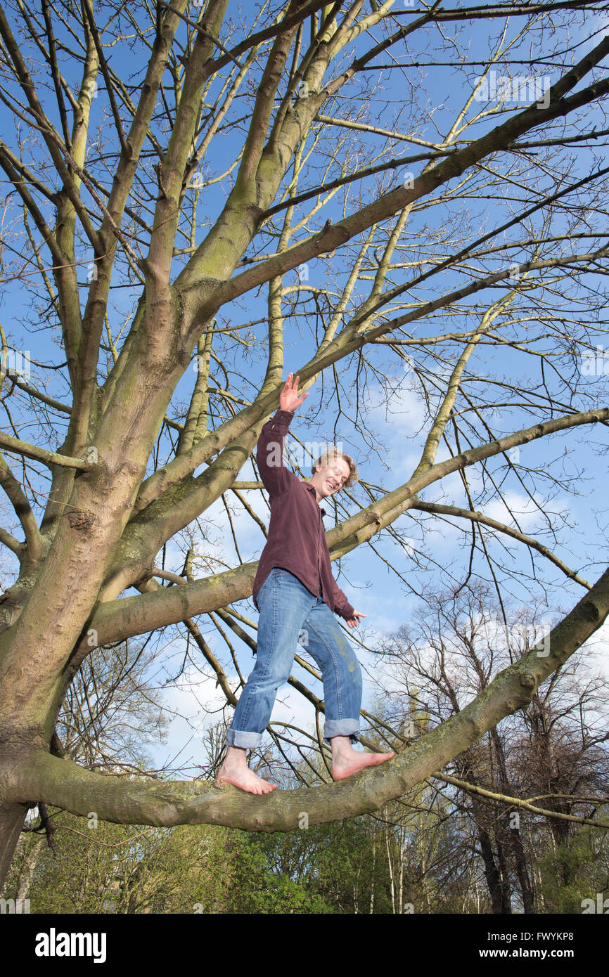 Jack Cooke, author of 'The Tree Climber's Guide', up in a tree in Ravenscourt Park, near Hammersmith, London, England, UK Stock Photo