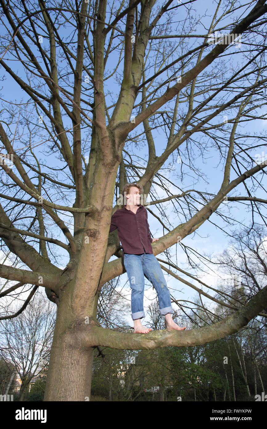 Jack Cooke, author of 'The Tree Climber's Guide', up in a tree in Ravenscourt Park, near Hammersmith, London, England, UK Stock Photo