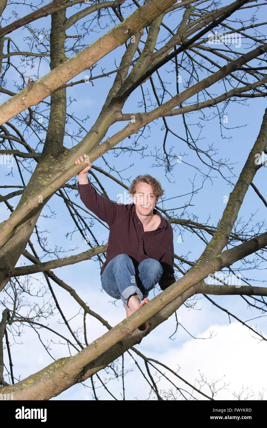 Jack Cooke, author of 'The Tree Climber's Guide', up in a tree in Ravenscourt Park, near Hammersmith, London, England, UK Stock Photo