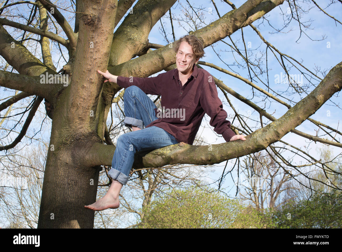 Jack Cooke, author of 'The Tree Climber's Guide', up in a tree in Ravenscourt Park, near Hammersmith, London, England, UK Stock Photo