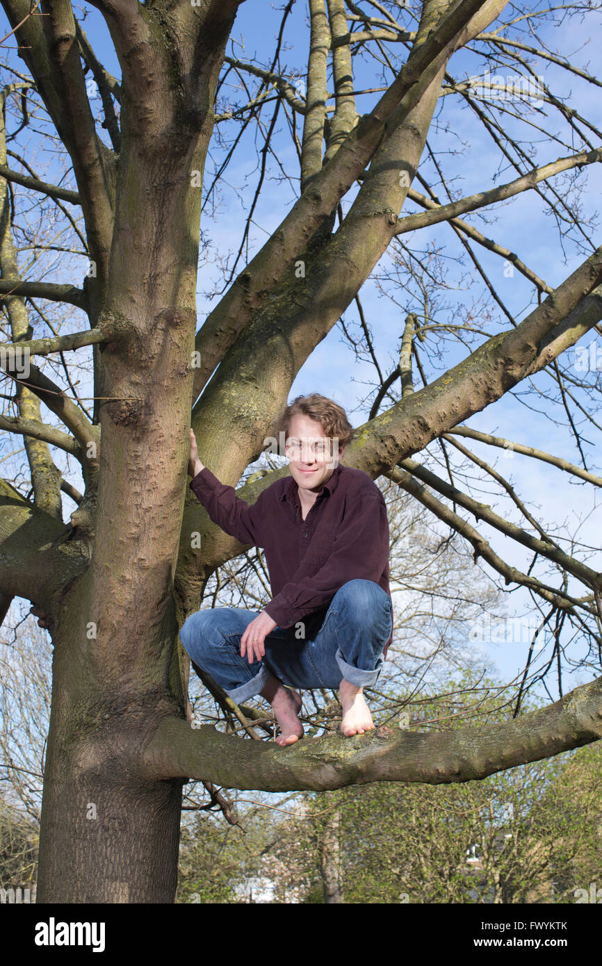 Jack Cooke, author of 'The Tree Climber's Guide', up in a tree in Ravenscourt Park, near Hammersmith, London, England, UK Stock Photo