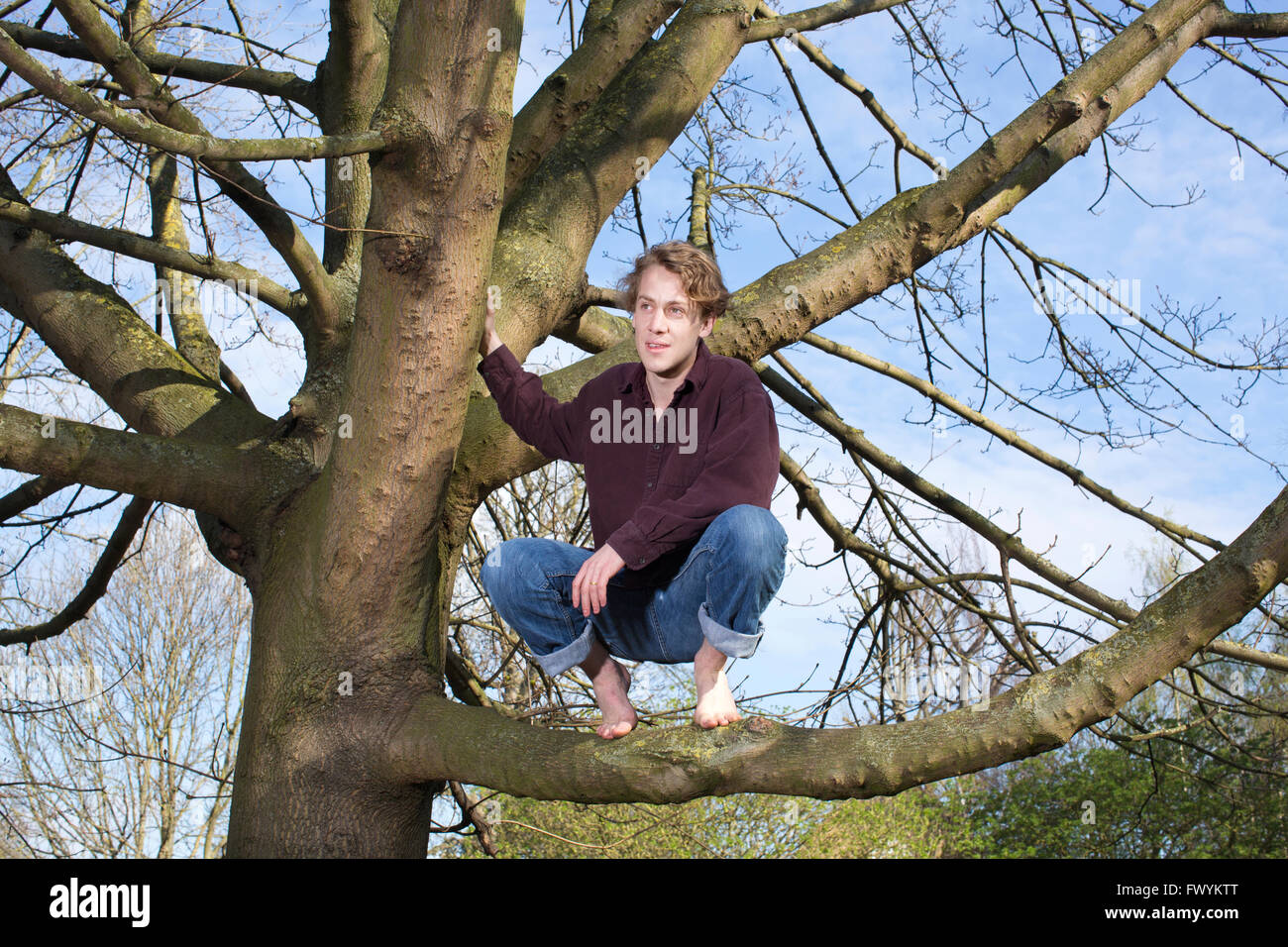 Jack Cooke, author of 'The Tree Climber's Guide', up in a tree in Ravenscourt Park, near Hammersmith, London, England, UK Stock Photo