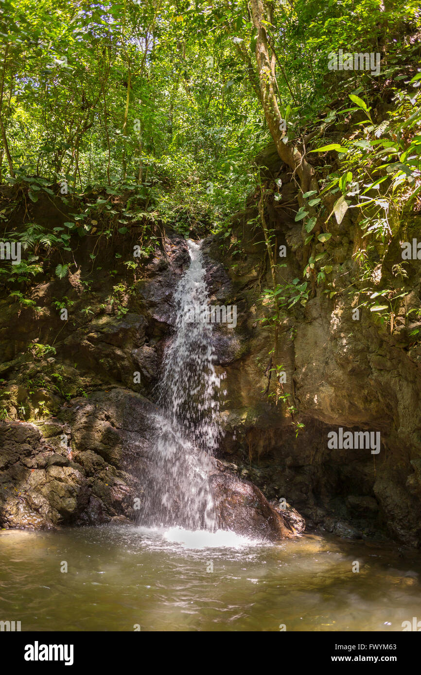 OSA PENINSULA, COSTA RICA Waterfall and stream in rain forest Stock