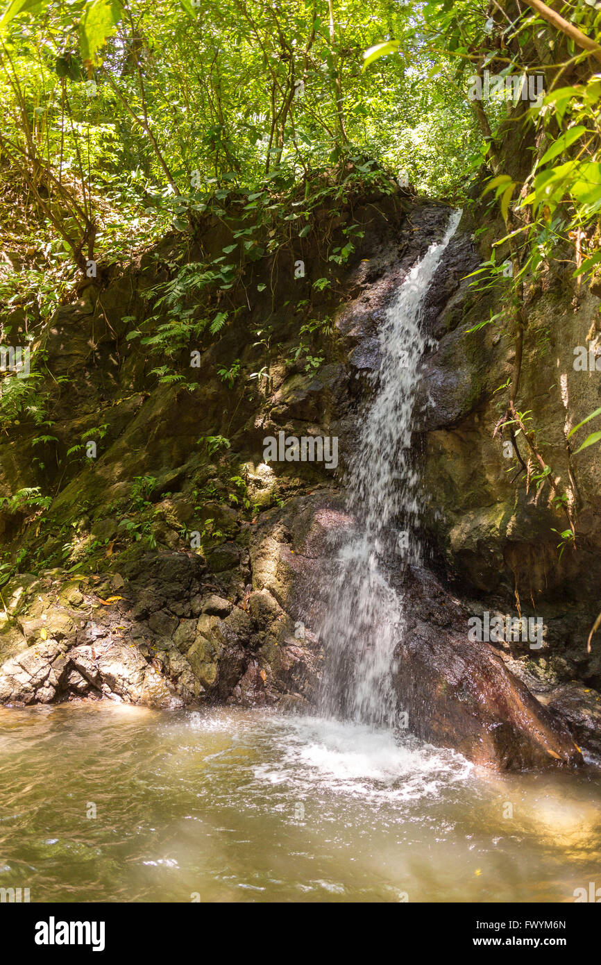 OSA PENINSULA, COSTA RICA Waterfall and stream in rain forest Stock