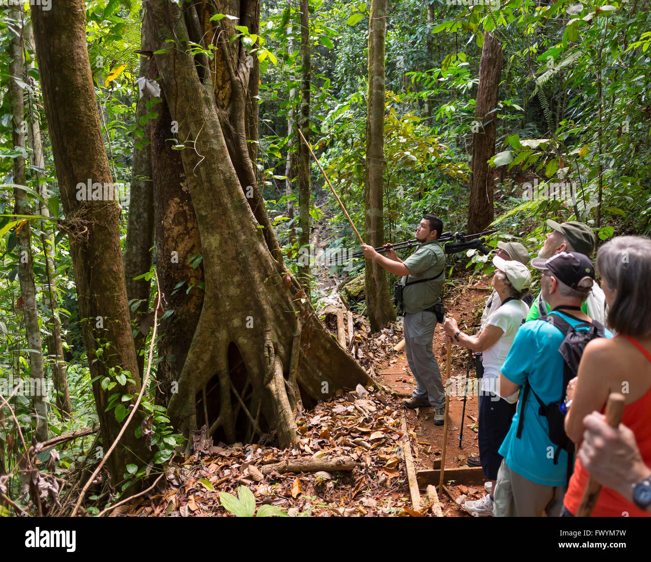 OSA PENINSULA, COSTA RICA - Naturalist guide with eco-tourists in rain forest on hike. Stock Photo