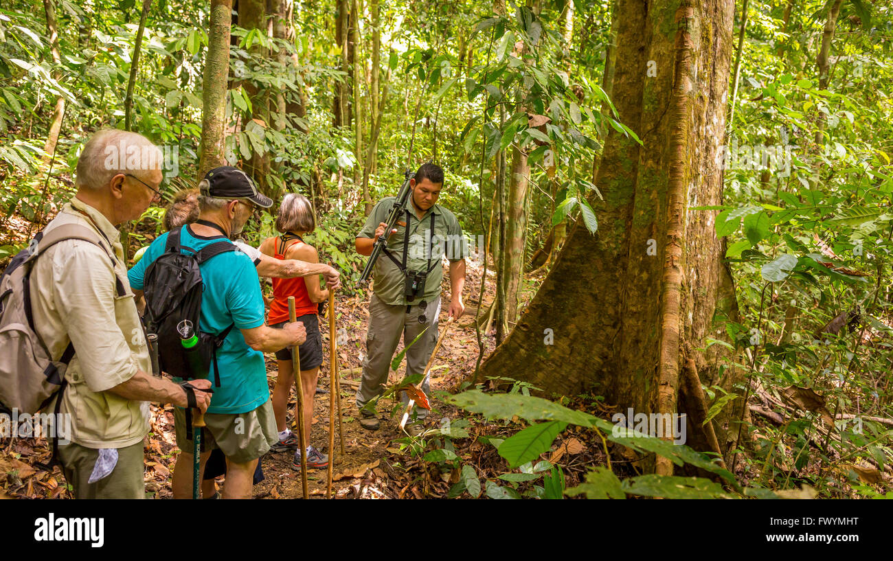 OSA PENINSULA, COSTA RICA - Naturalist guide with eco-tourists in rain forest on hike. Stock Photo