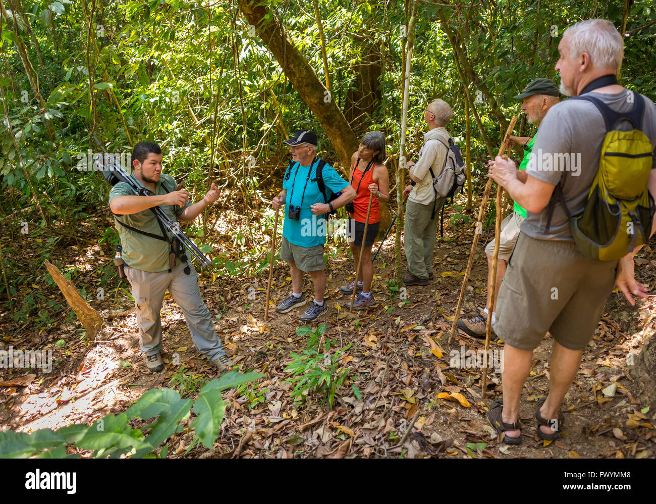 OSA PENINSULA, COSTA RICA - Naturalist guide with eco-tourists in rain forest on hike. Stock Photo