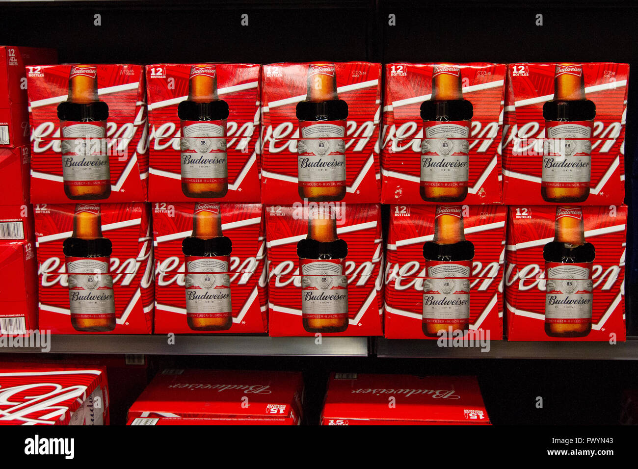 Budweiser beer cases on display at a newly opened self serve Beer store in Kingston, Ont., on March 16, 2016. Stock Photo