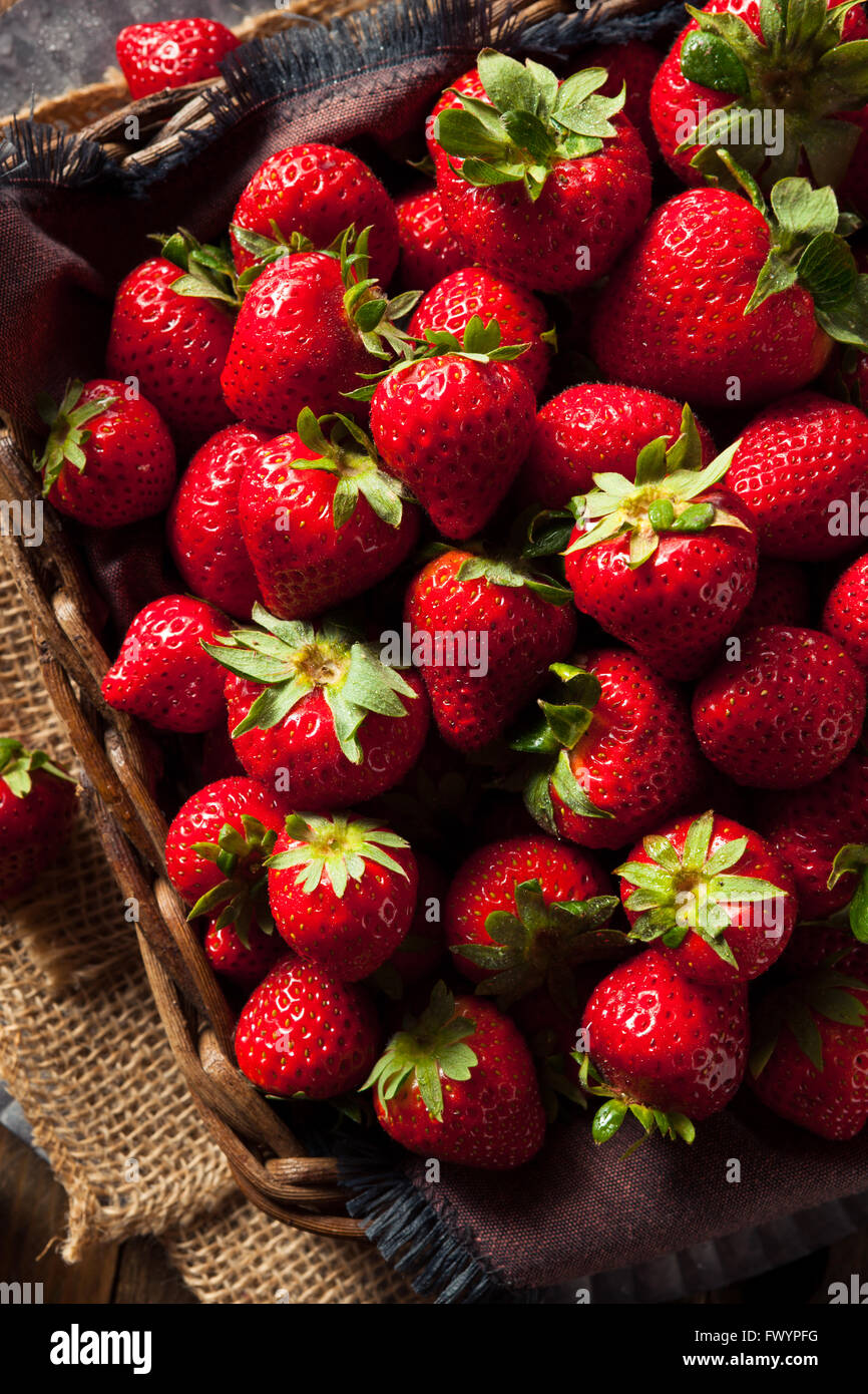 Raw Red Organic Strawberries Ready to Eat Stock Photo - Alamy