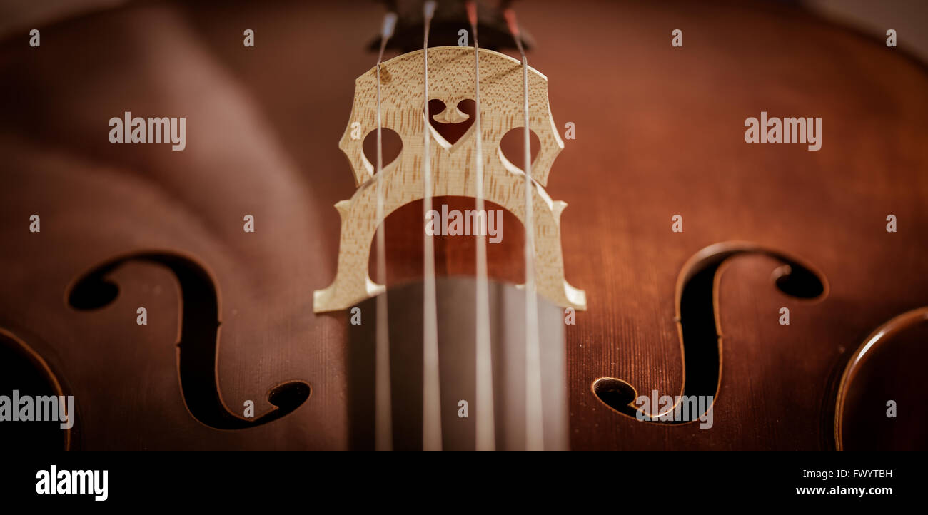 Cello strings closeup Stock Photo Alamy