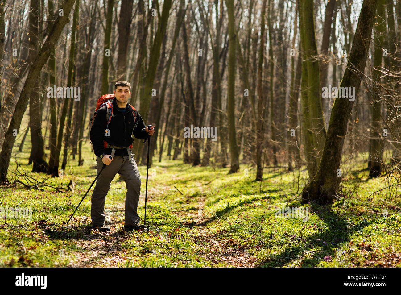 Active healthy man hiking in beautiful forest Stock Photo - Alamy