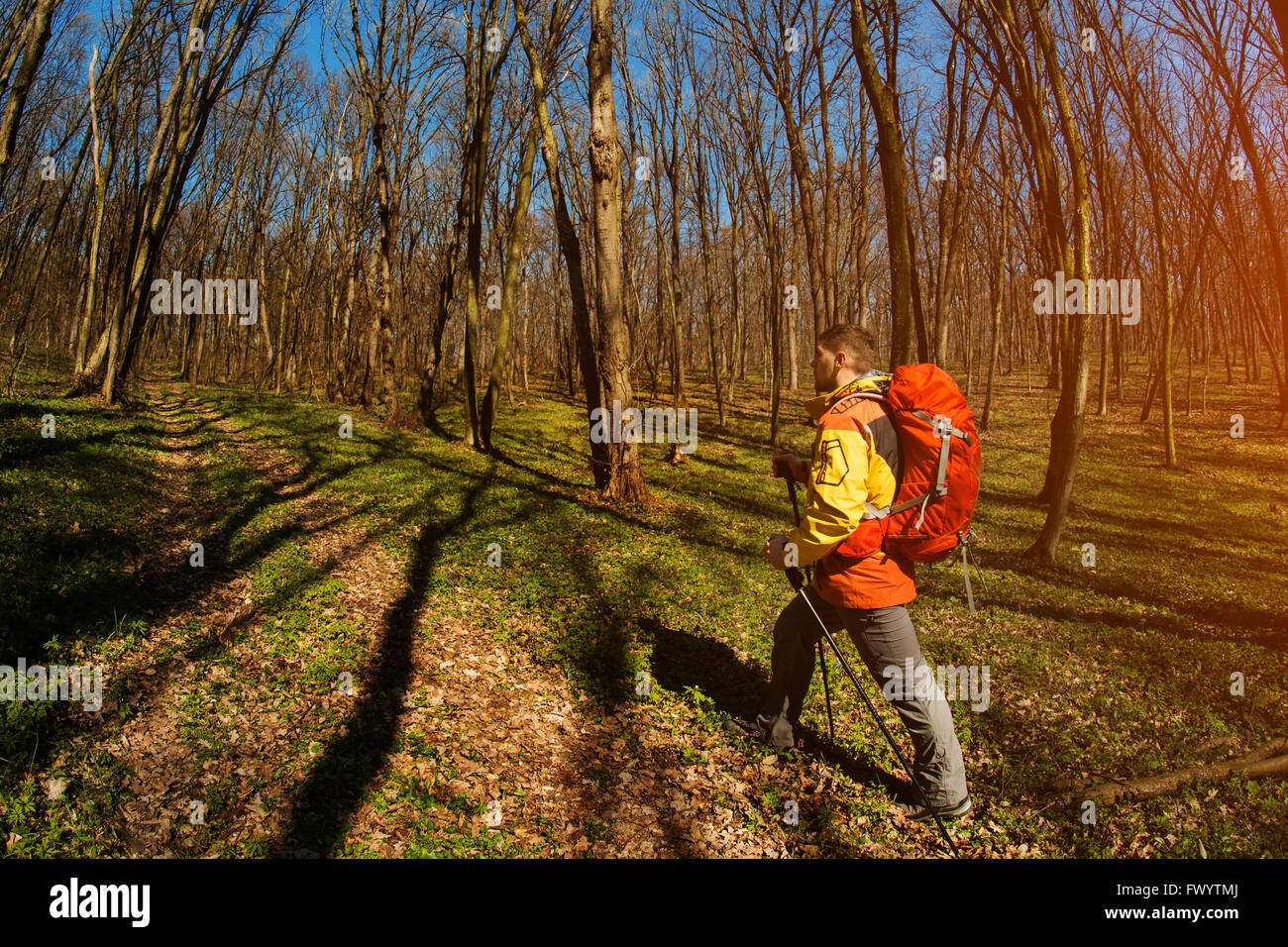 Active healthy man hiking in beautiful forest Stock Photo - Alamy