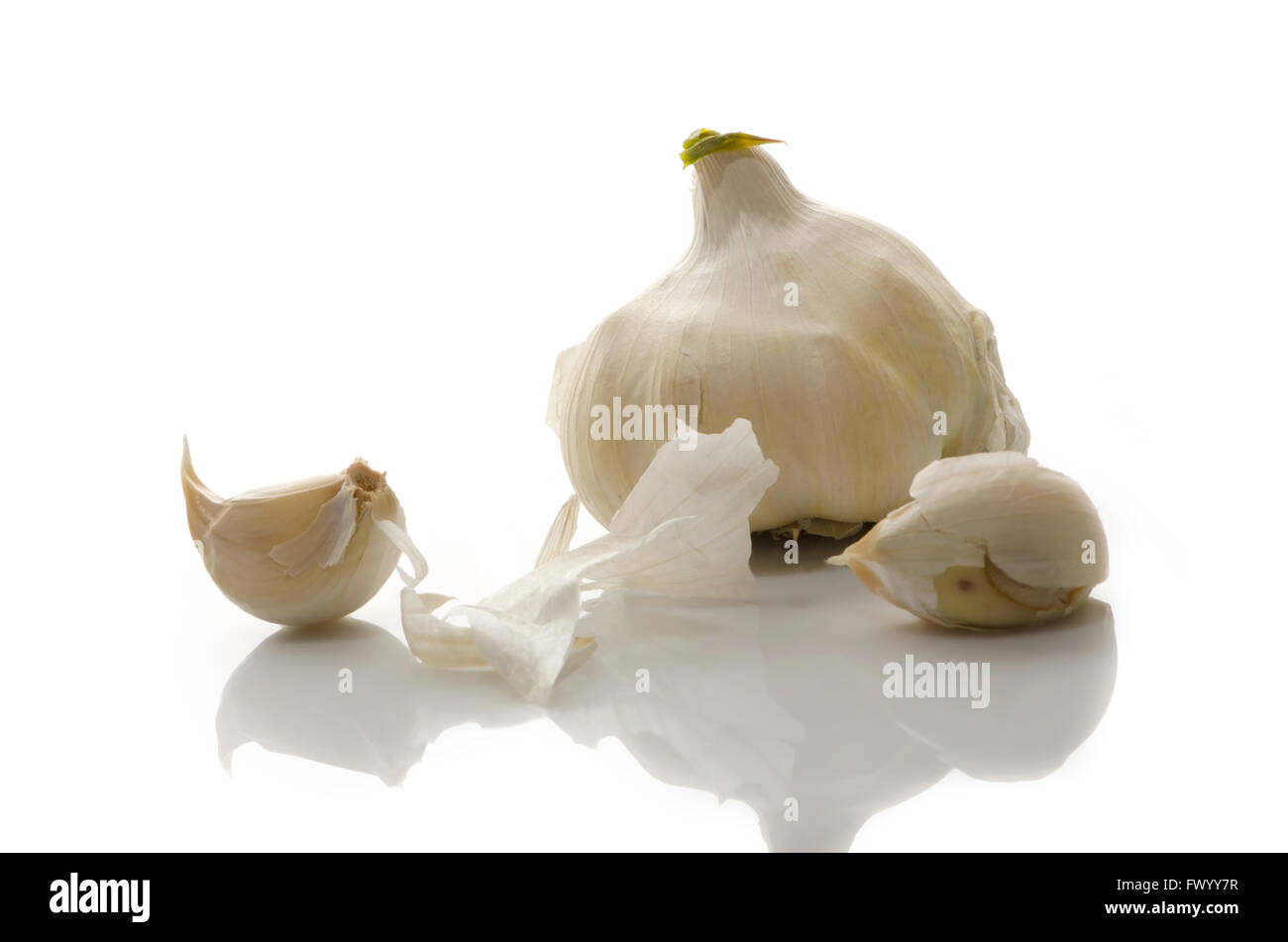 Garlic bulb and cloves isolated on white background Stock Photo - Alamy