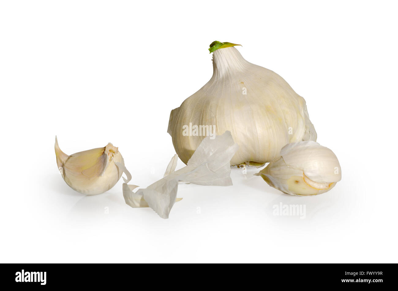 Garlic bulb and cloves isolated on white background Stock Photo - Alamy
