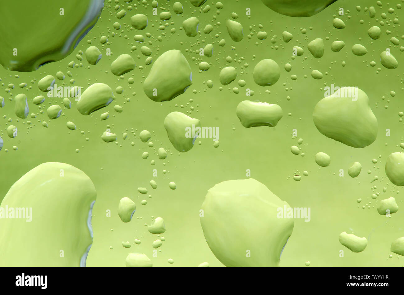Water drops on gresh green natural background. Stock Photo