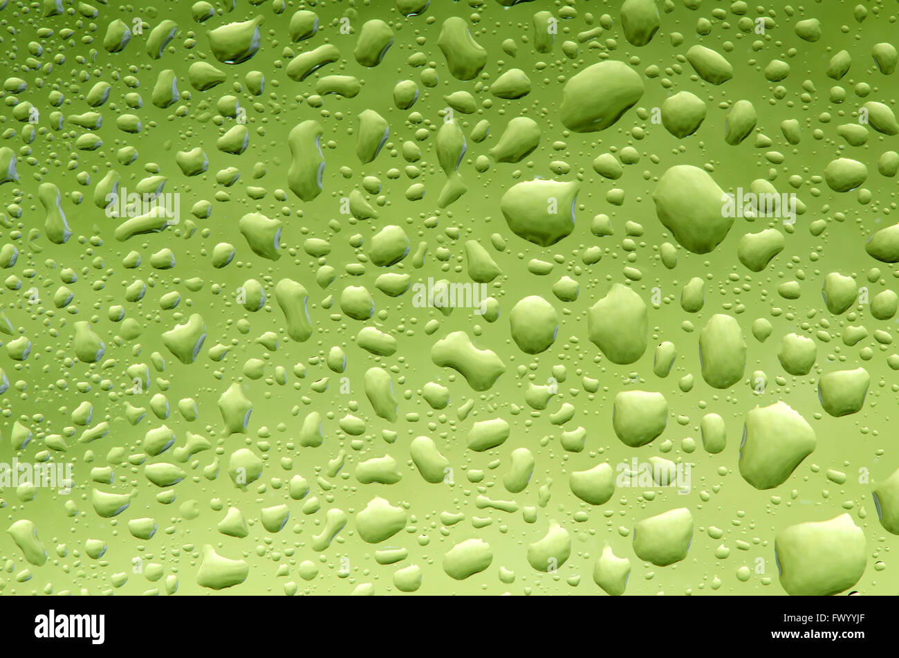 Water drops on gresh green natural background. Stock Photo
