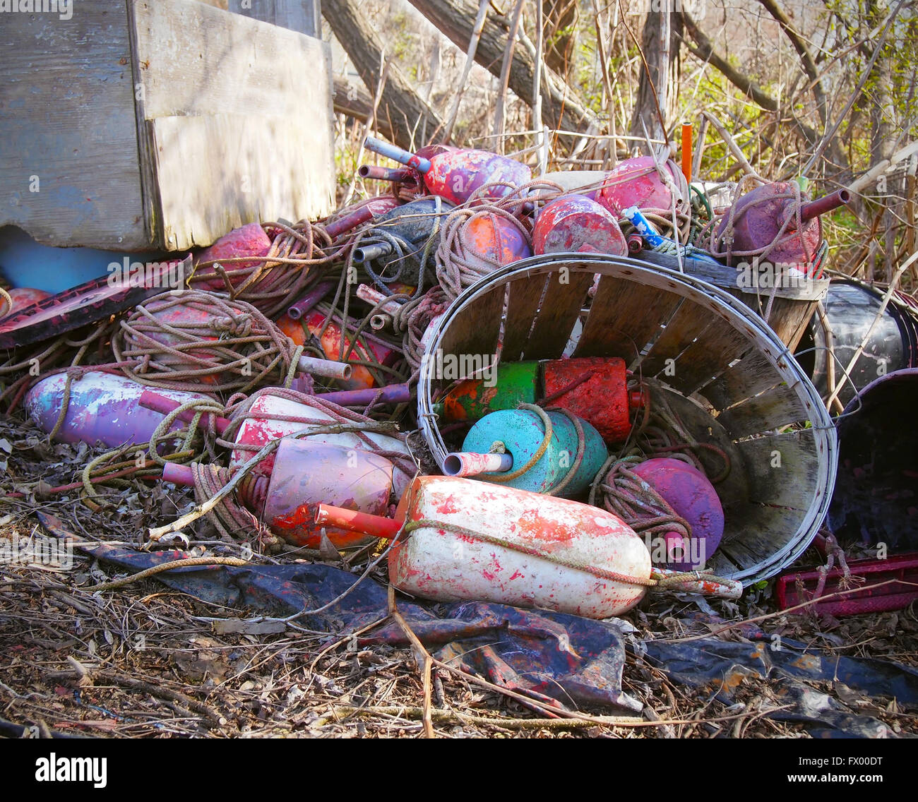 A pile of old buoys and tangled ropes with a bushel in the sticks. Stock Photo