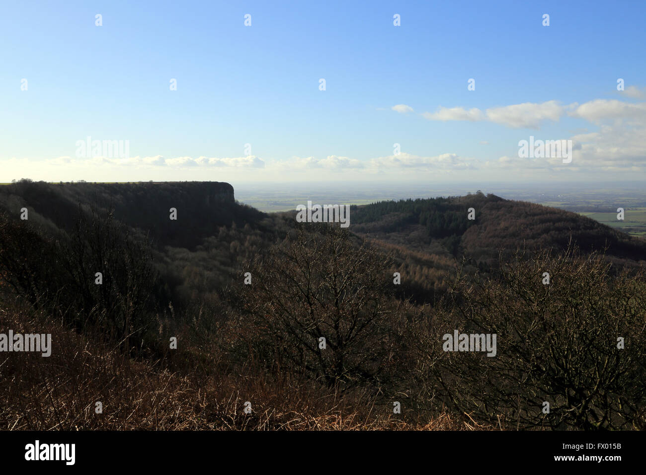 Hood Hill and Hood Grange Wood with Sutton Gliding Centre from